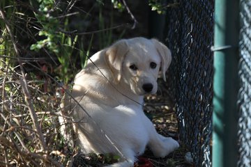Bild 78 - 2011